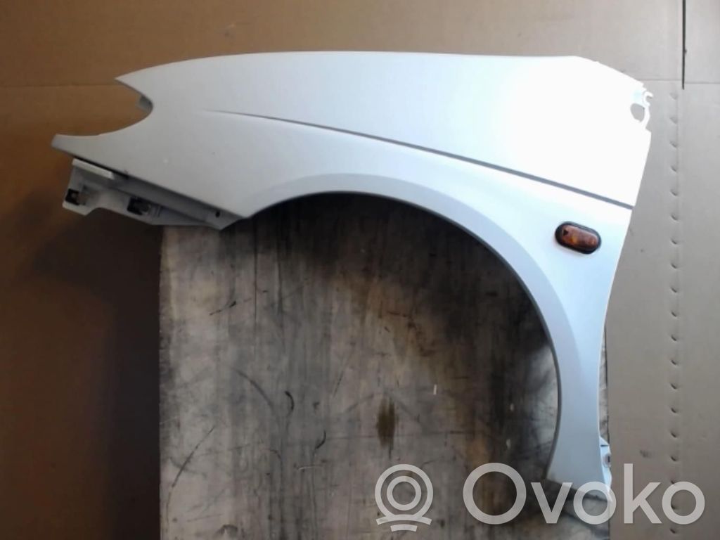 Renault Scenic I Sparnas 