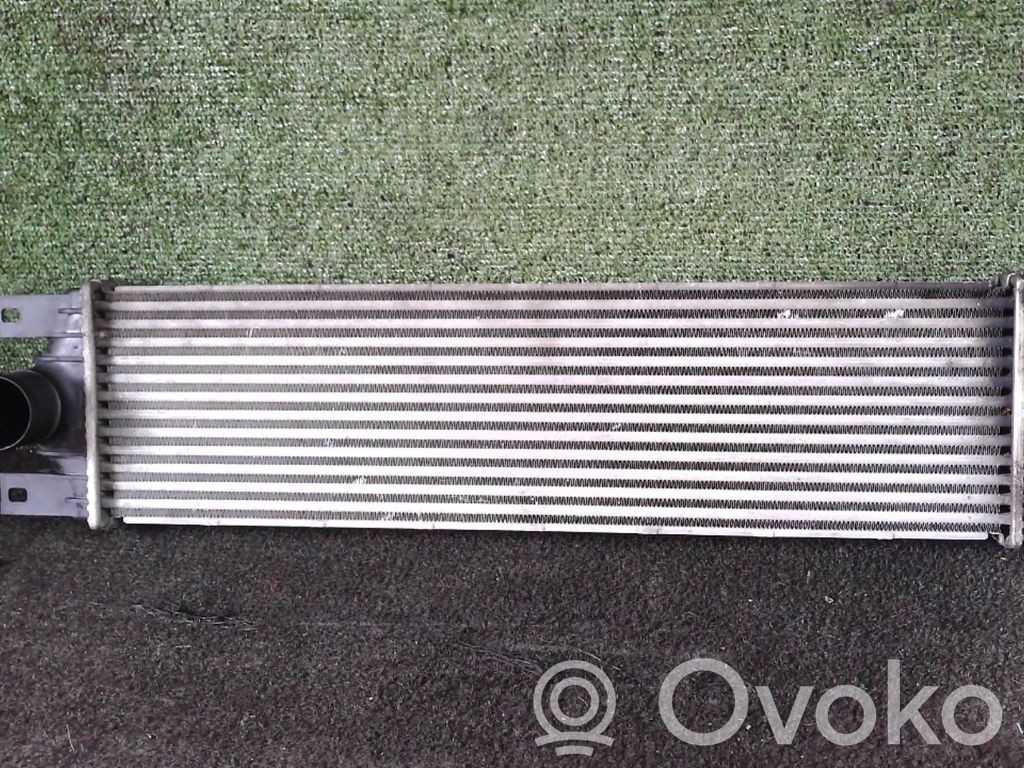 Intercooler radiator   7701043695