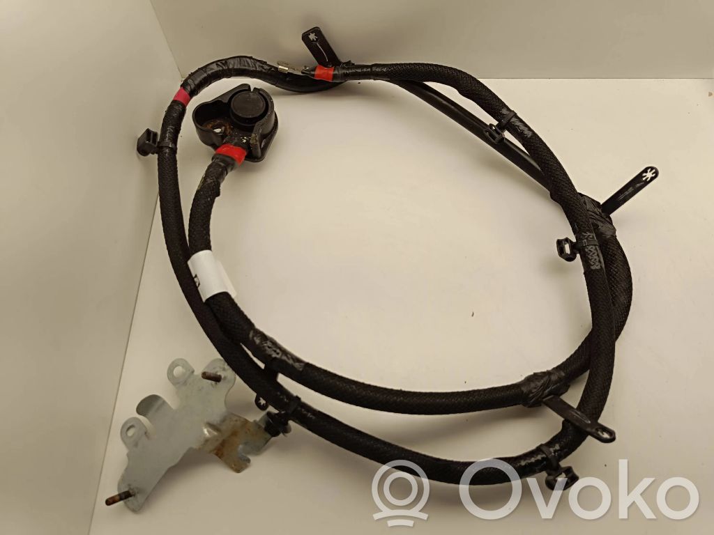 Chrysler Pacifica Cableado positivo 