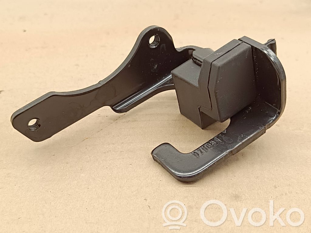 Chrysler Pacifica Other rear door trim element 