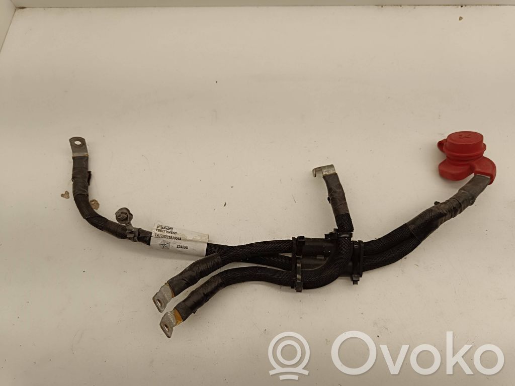 Plusa vads (akumulatora)   P68271649AC,23489U,TA17H221810544