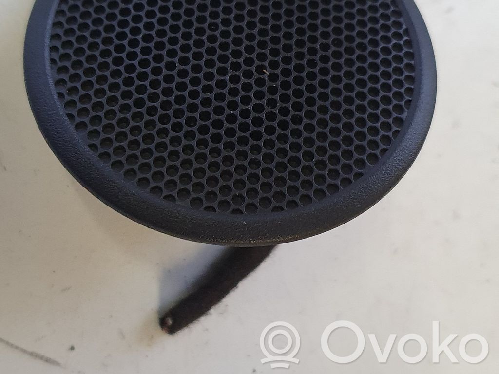 Front door high frequency speaker   D10E66960
