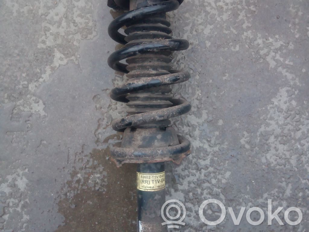 Stoßdämpfer hinten   52602T1VE410,52602T1VE410
