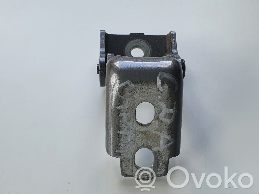 Rear door lower hinge   804200003RM