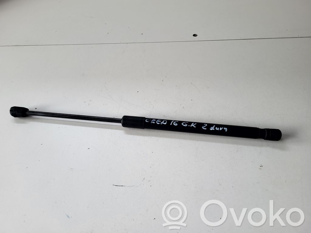 Tailgate/trunk strut/damper   81770A2700