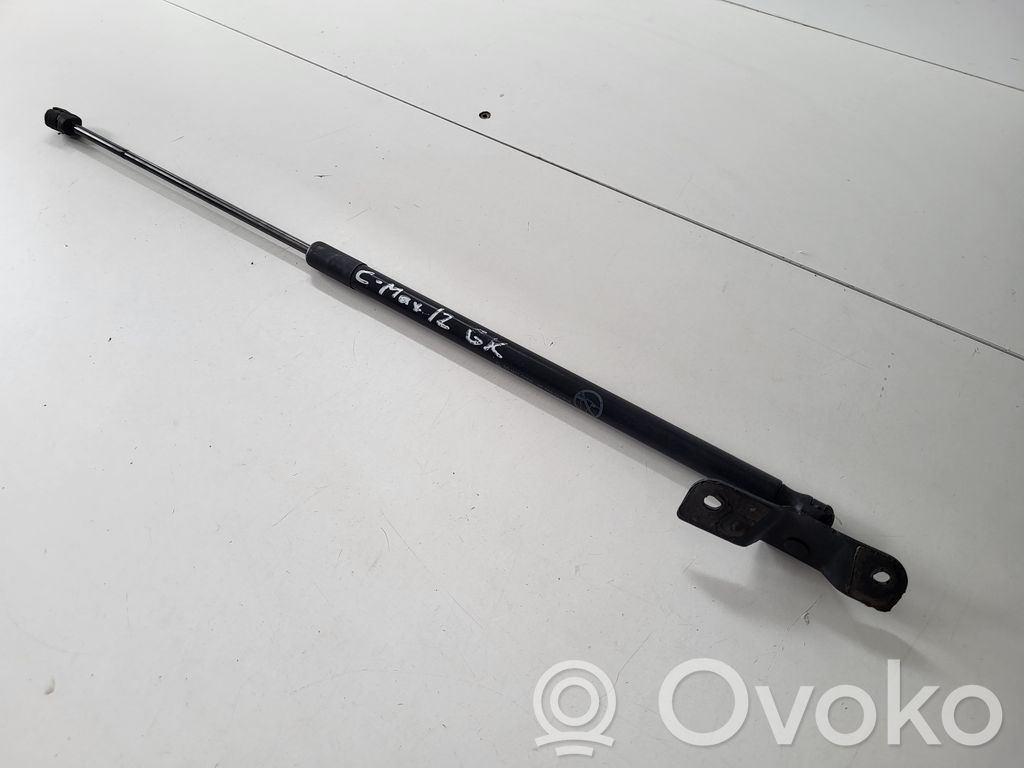 Tailgate/trunk strut/damper   AM51R406A10AD