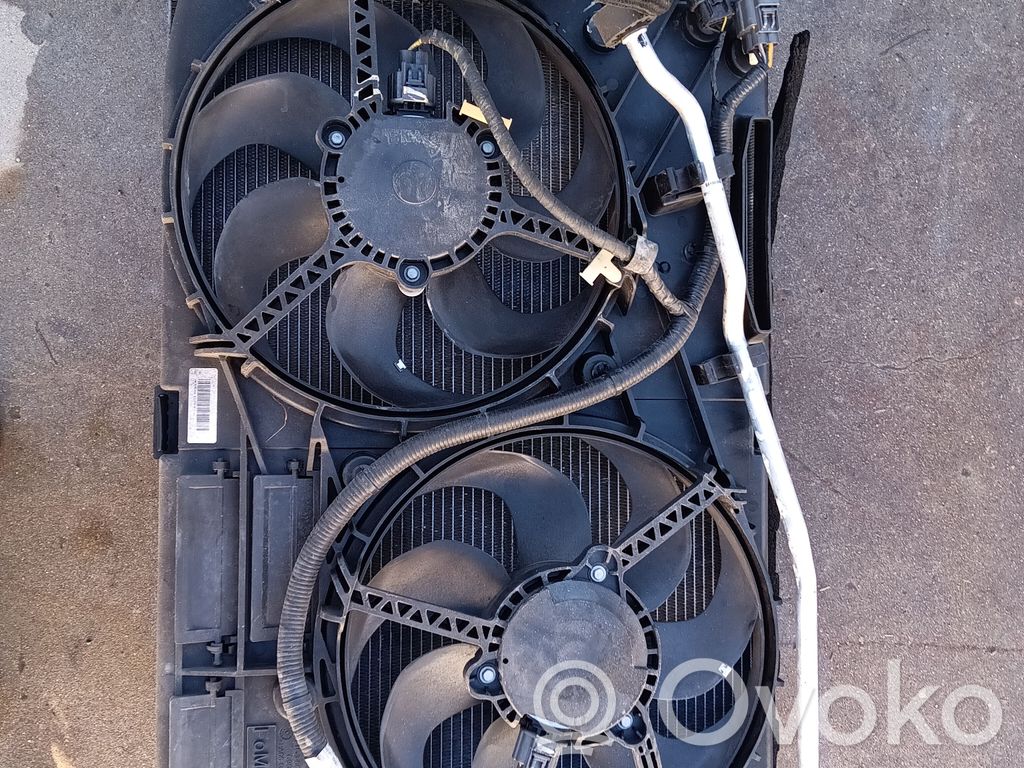 Radiatora komplekts   E1GH19710AB,EM2B8475BF,DC936K775C,DG938005,DS7P7890AC,DS7P7890BD,E1G38C607AA