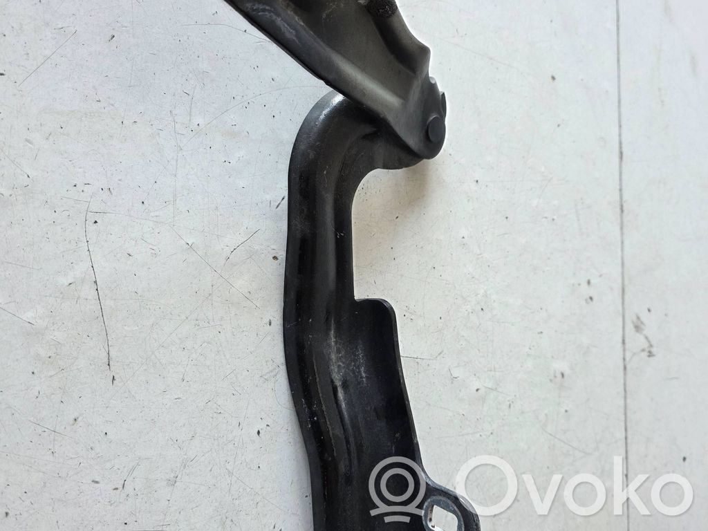 Ford Galaxy Dzinēja pārsega eņģe (-es) 