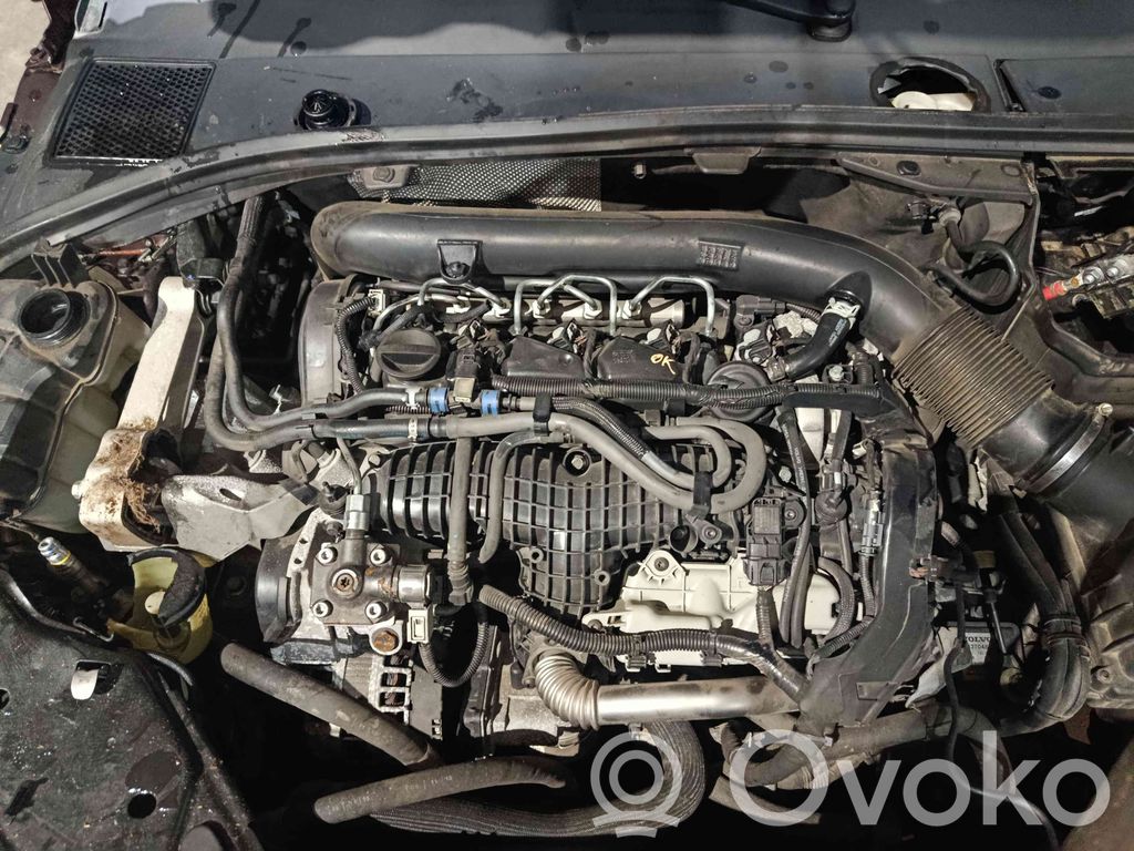 Motor   D4204T5