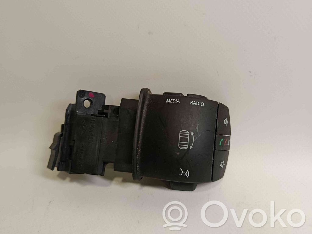 Other switches/knobs/shifts   255520795R