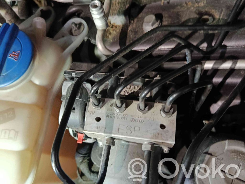ABS Pump   8R0614517J,0265236123