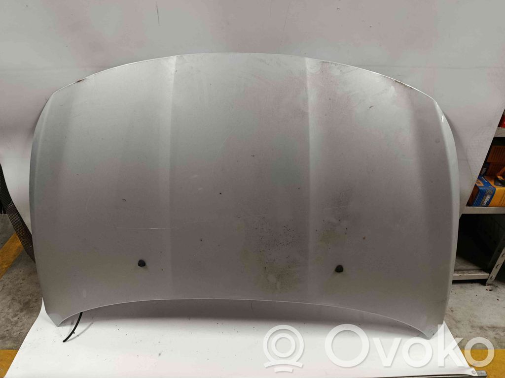 Engine bonnet/hood