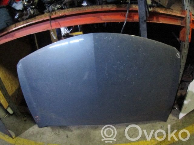 Dzinēja pārsegs (vāks)   CAPO640