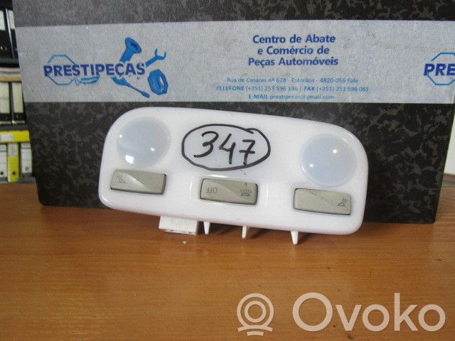 Headlining lighting console trim   264300008R