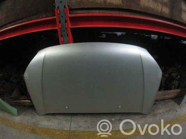 Dzinēja pārsegs (vāks)   CAPO760