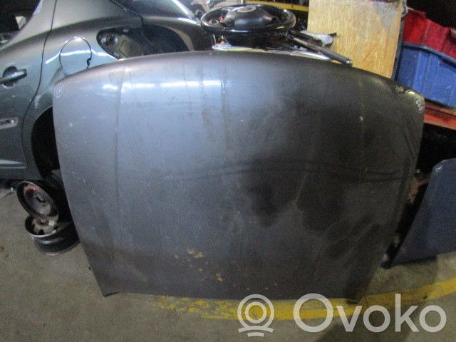 Engine bonnet/hood   CAPO639,4P