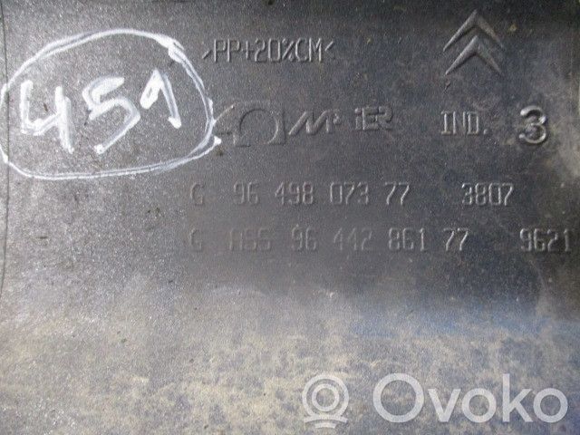 Citroen C2 Slenkstis 