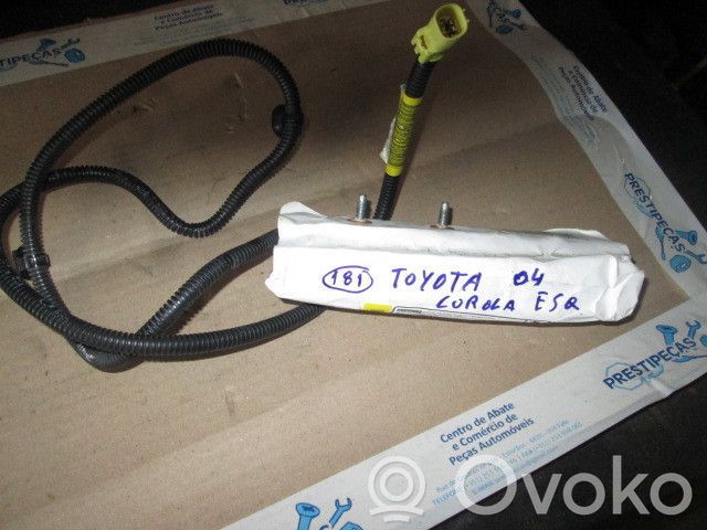 Sėdynės oro pagalvė   73920,02060,ESQ