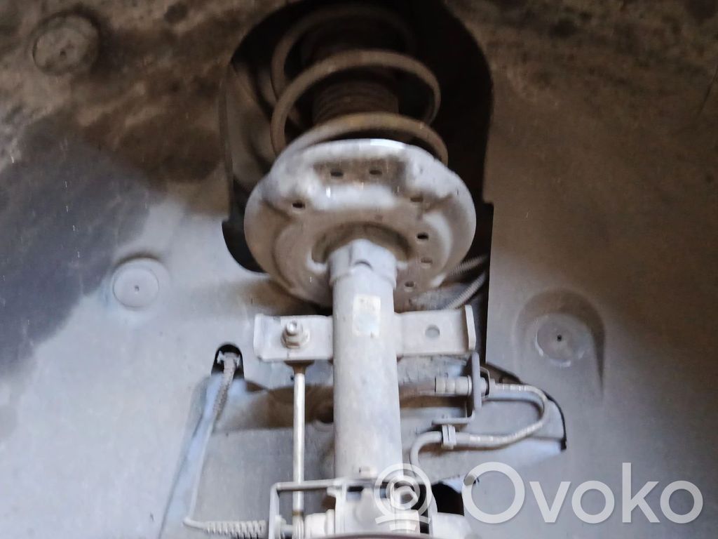 Stoßdämpfer vorne   543020749R