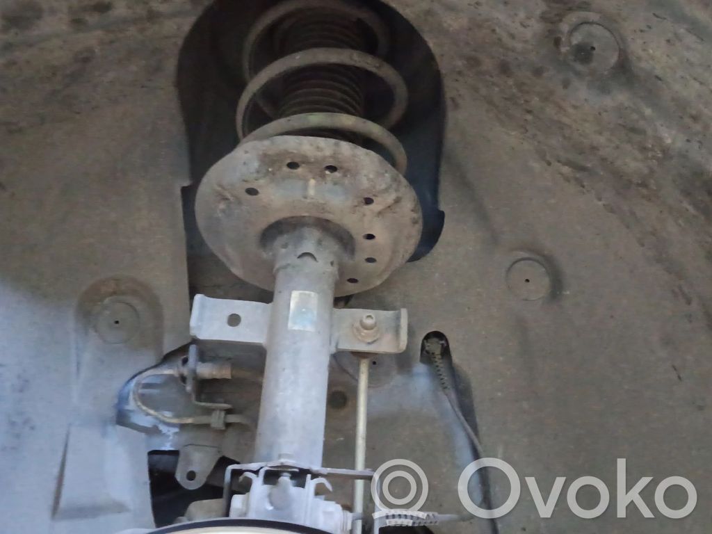 Stoßdämpfer vorne   543020749R