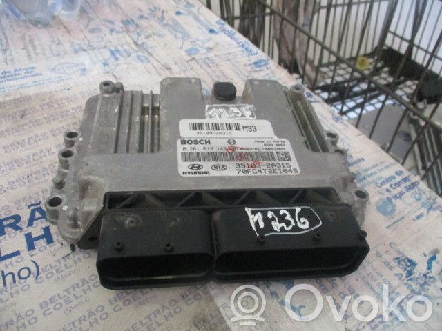 Motorsteuergerät/-modul   391032A315,BOSCH