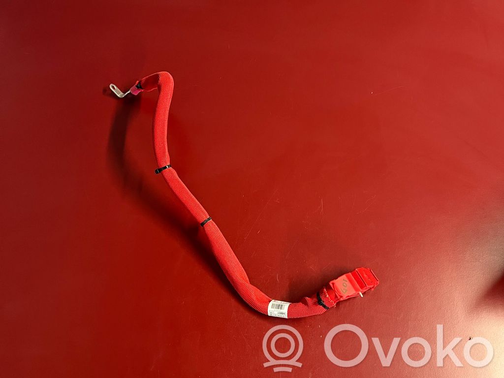 BMW X3 G01 Positive cable (battery) 