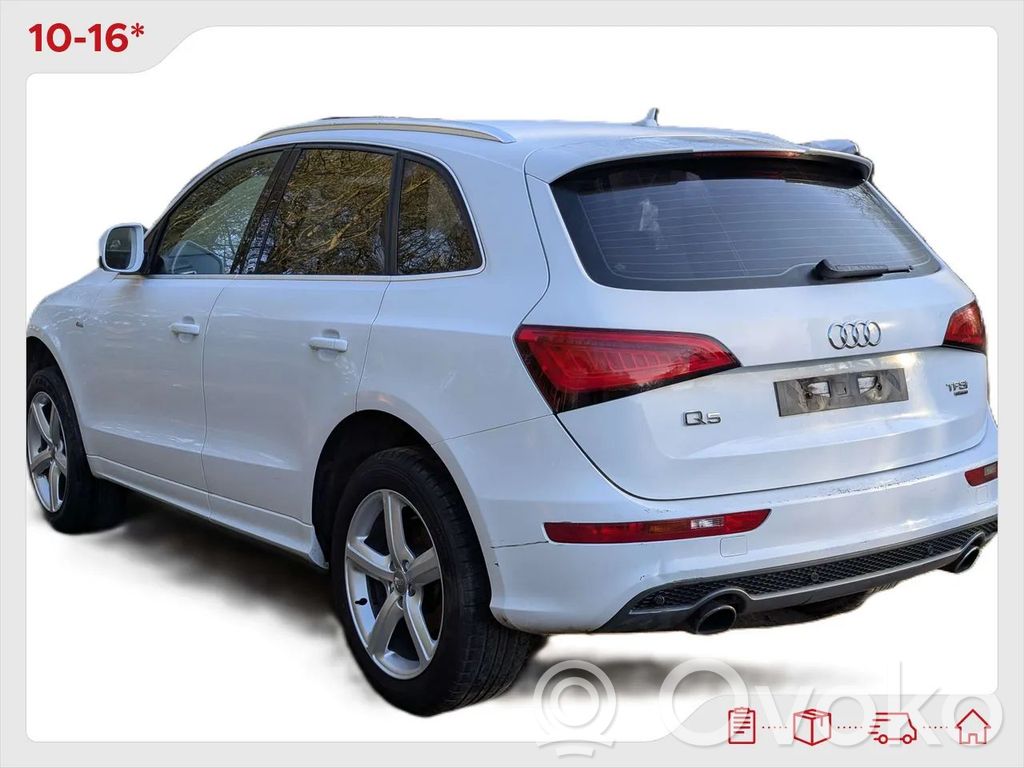 Audi Q5 SQ5 8R Vetoakseli (sarja) 