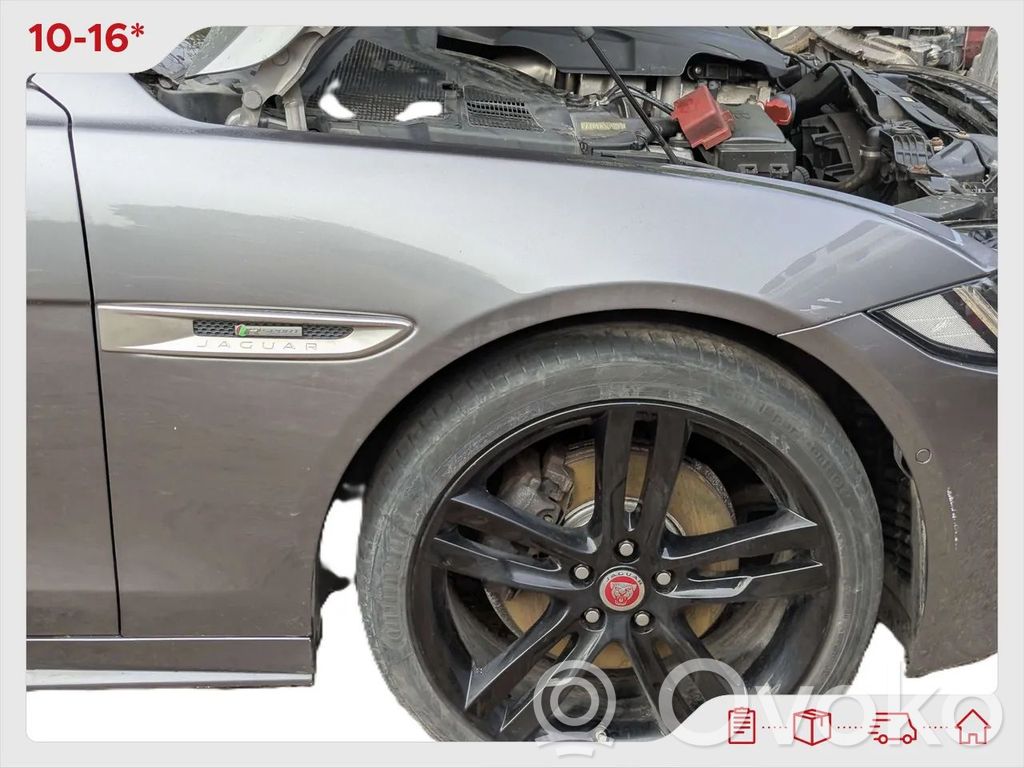 Jaguar XE Fender 