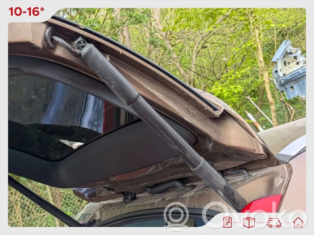 Tailgate/trunk strut/damper   156MK1