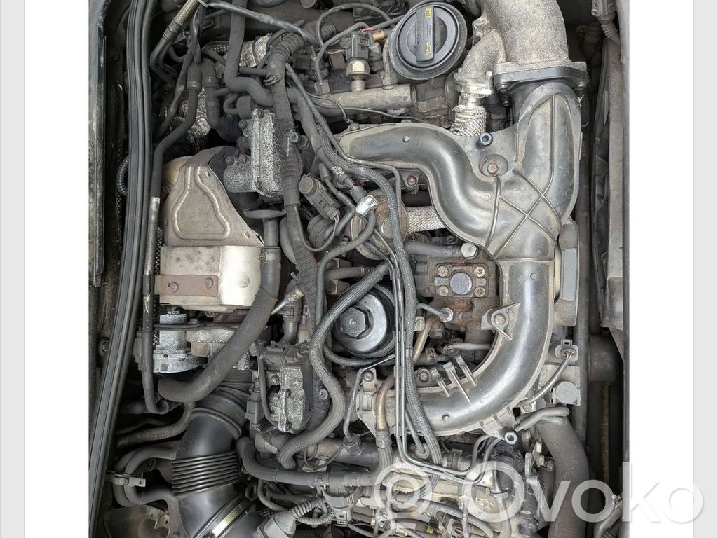 Motor   ASB,059100033E,D34ESPORT