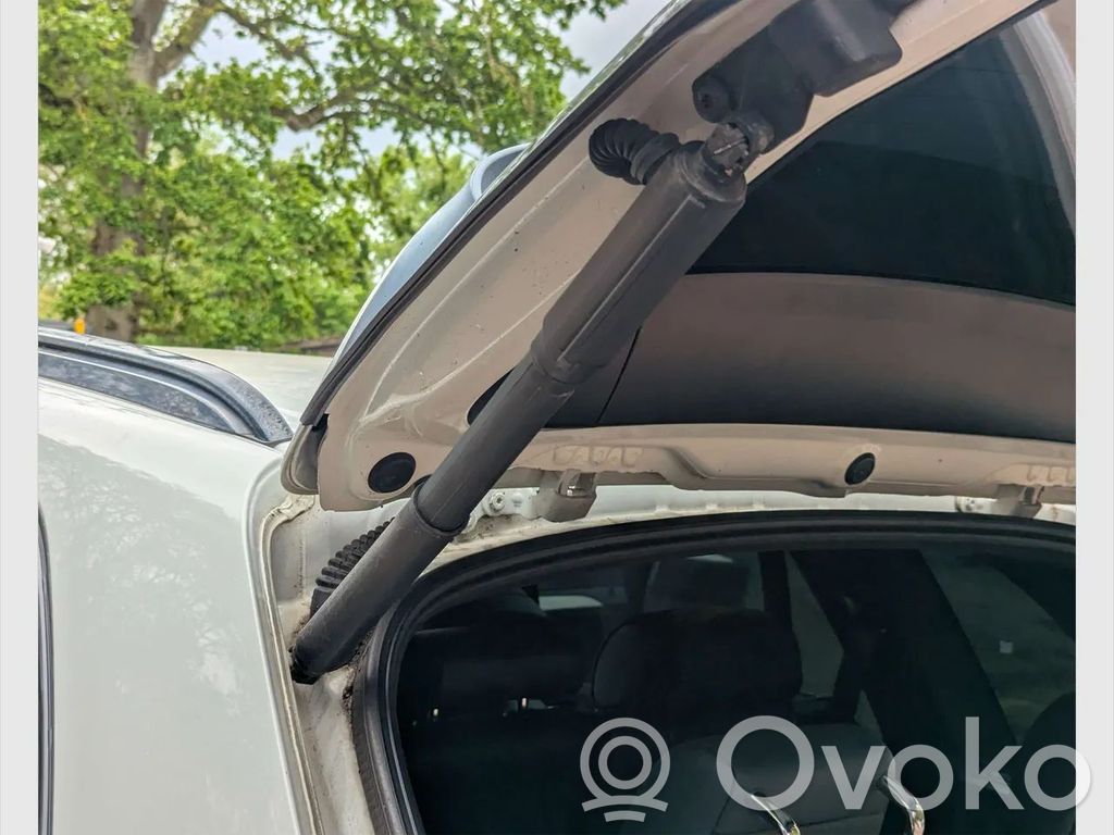 BMW X5 E70 Tailgate/trunk strut/damper 