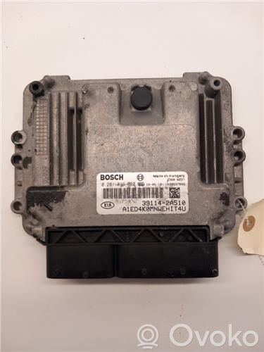 Engine control unit/module ECU   391142A510,281016692