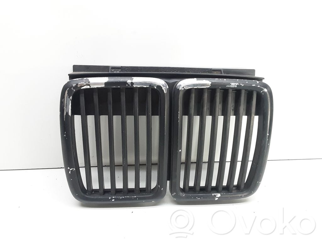 Front grill   1884350,51131884350