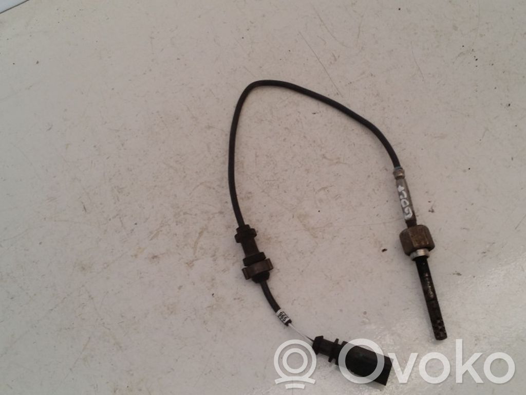 Volkswagen Golf V Exhaust gas temperature sensor 