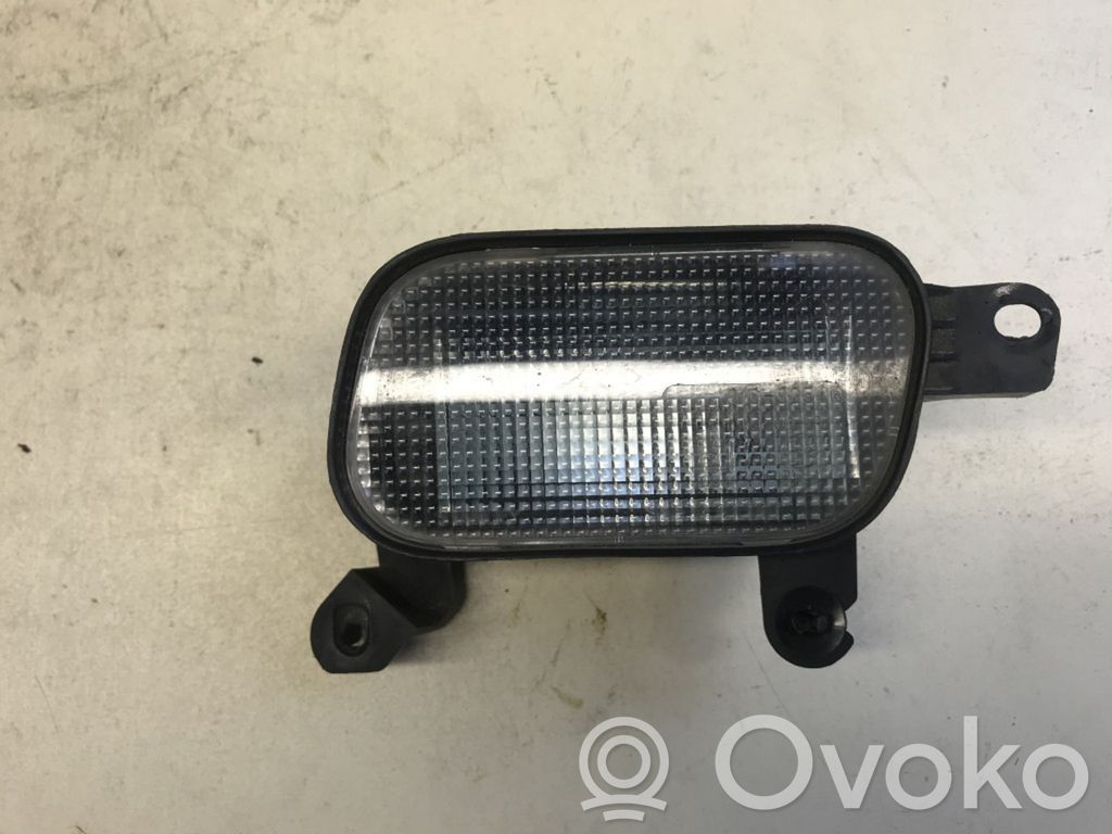 Reverse light