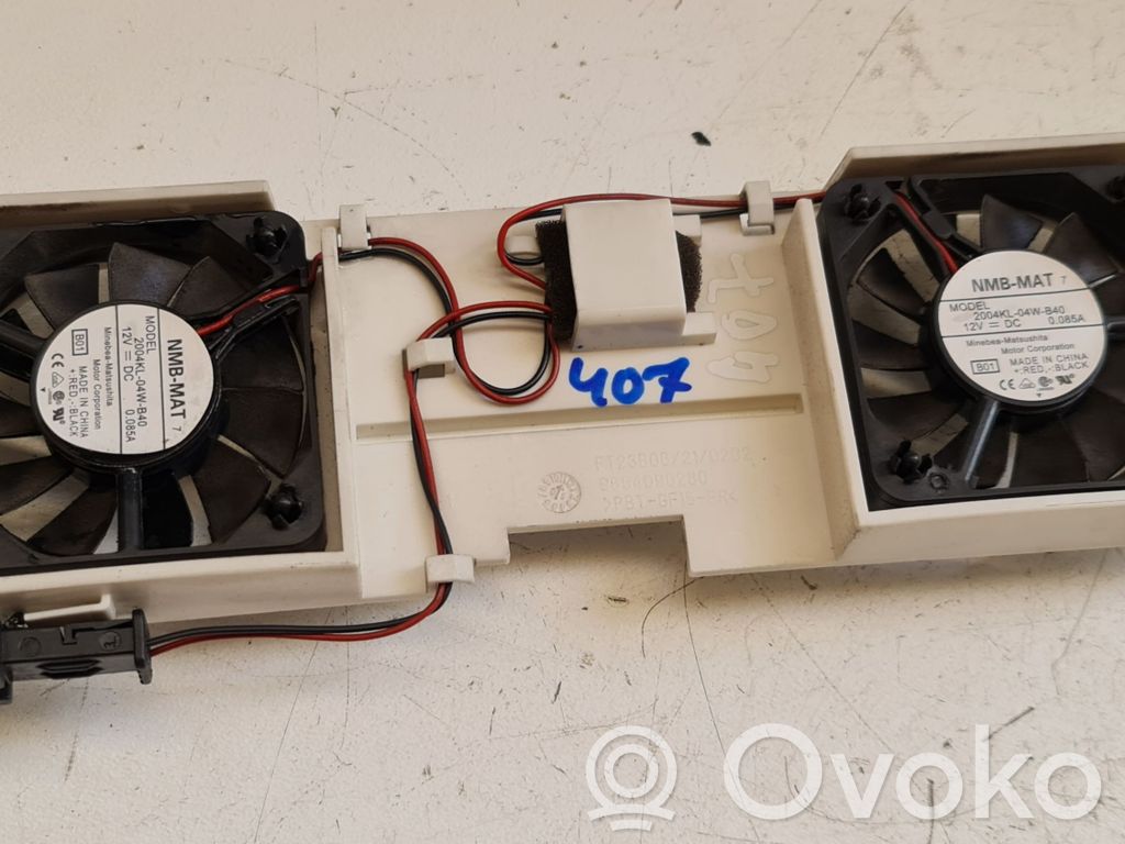 Peugeot 407 Engine control unit/module fan 