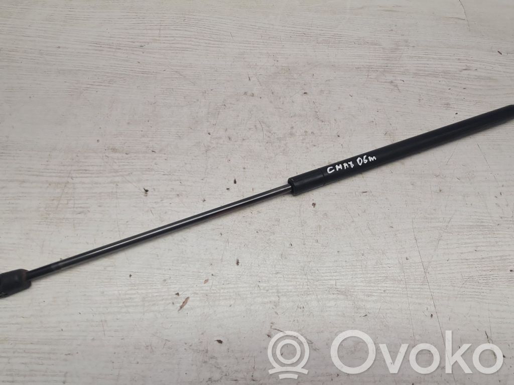 Ford Focus C-MAX Tailgate/trunk strut/damper 