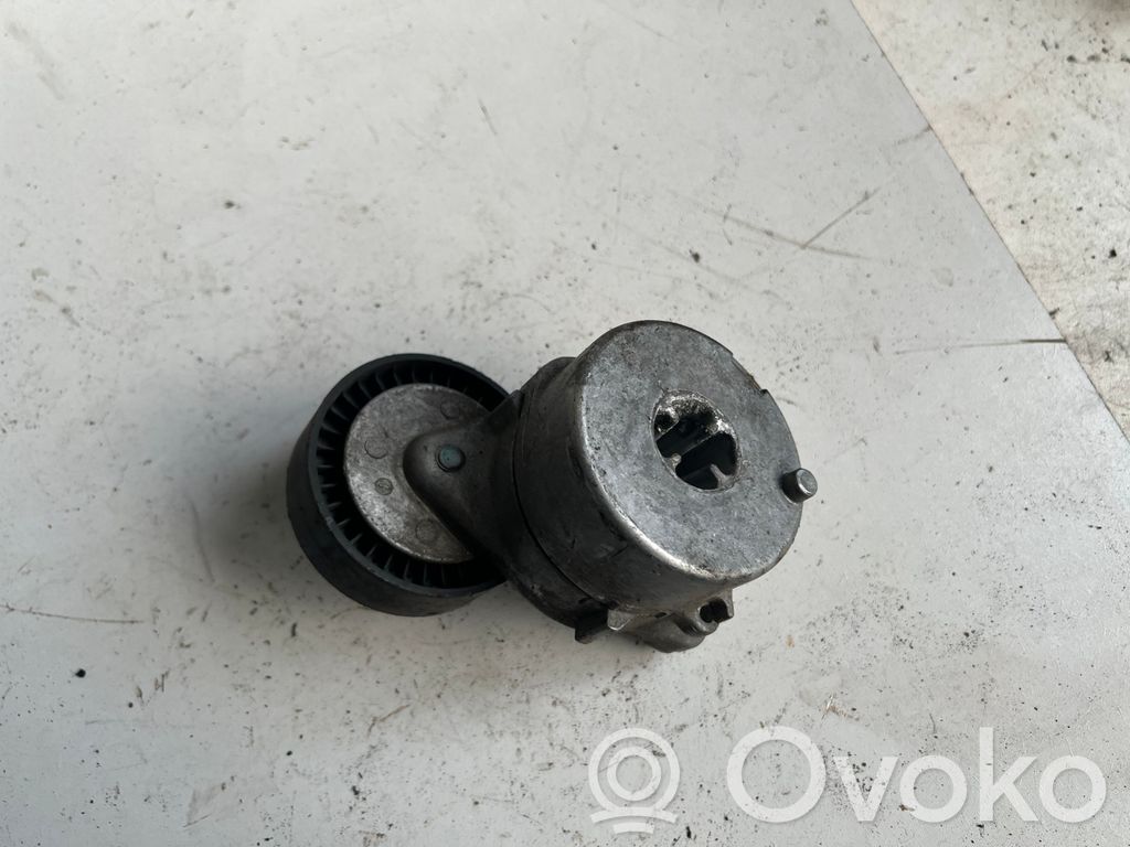 Land Rover Freelander Diržo įtempėjas 