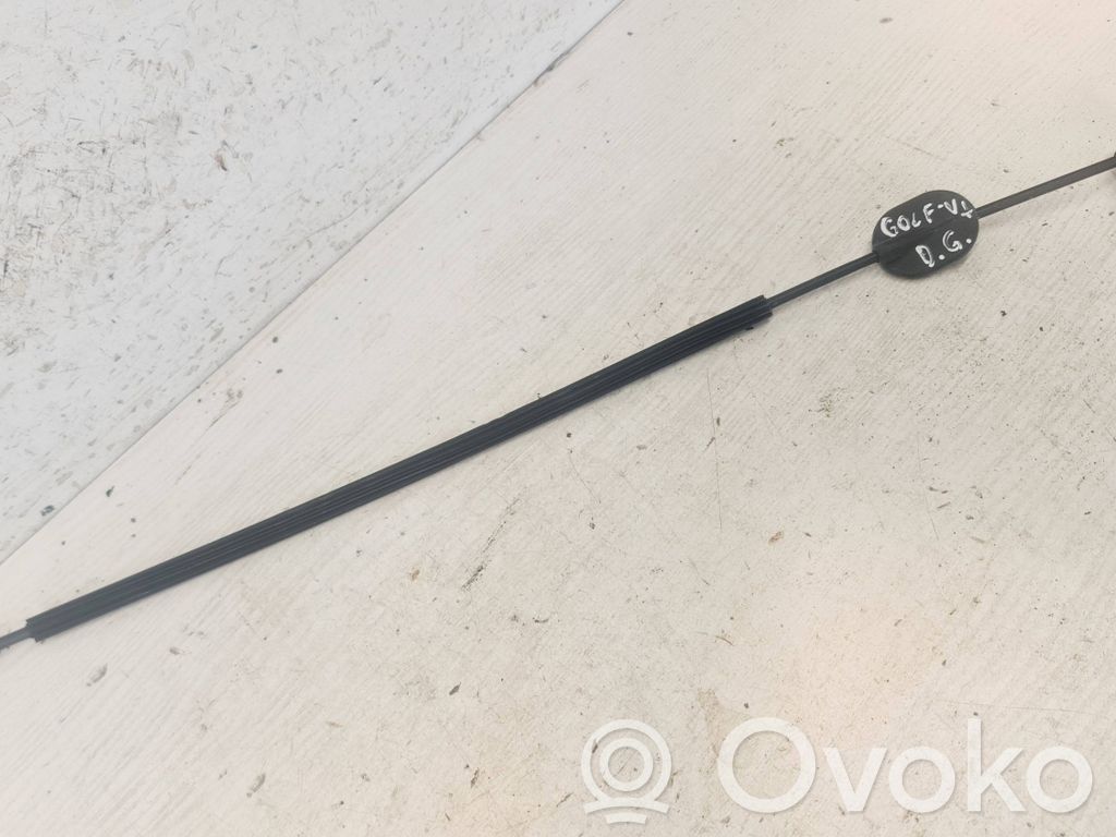 Volkswagen Golf Plus Línea de cable de puerta trasera 