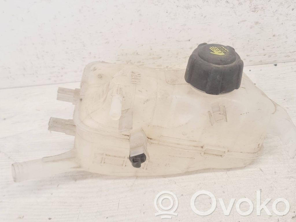 Renault Megane III Zbiornik wyrównawczy chłodziwa 