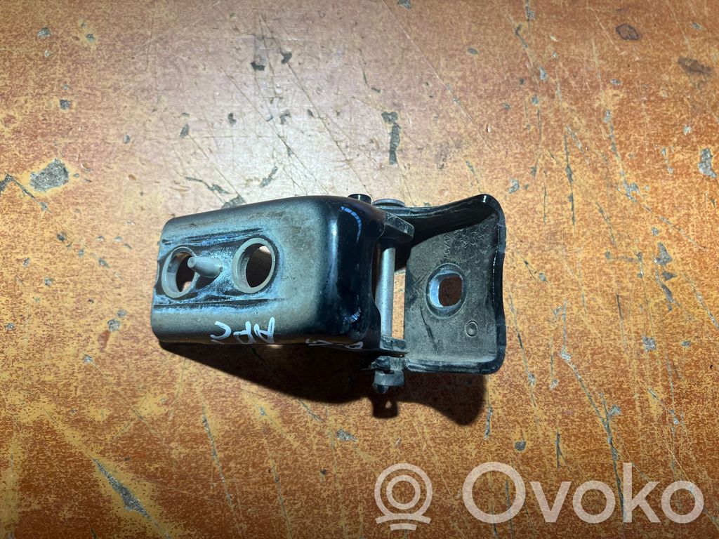 Rear door lower hinge