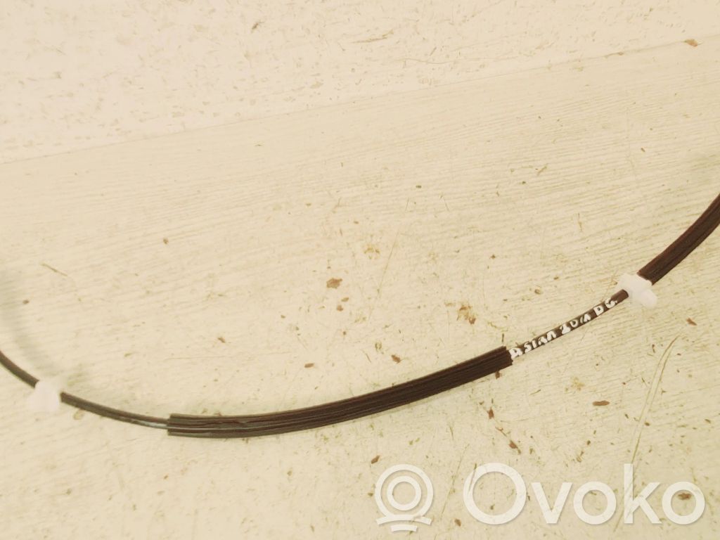 Línea de cable de puerta trasera   39134813,70720