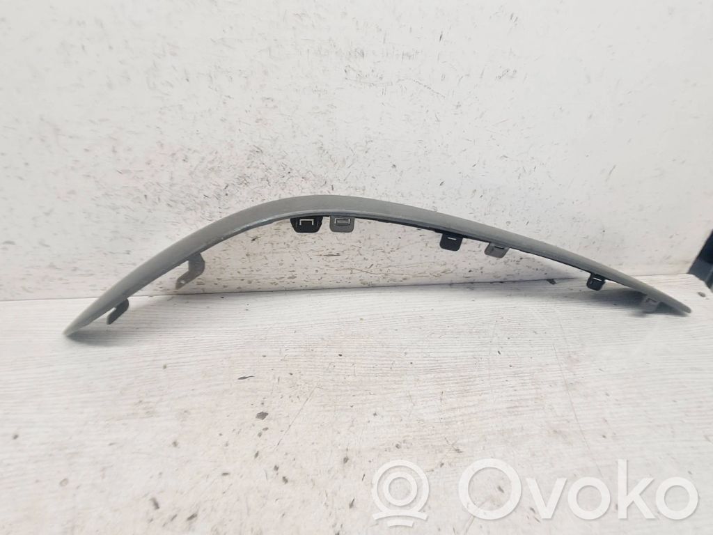 Front bumper splitter molding   C10050B41
