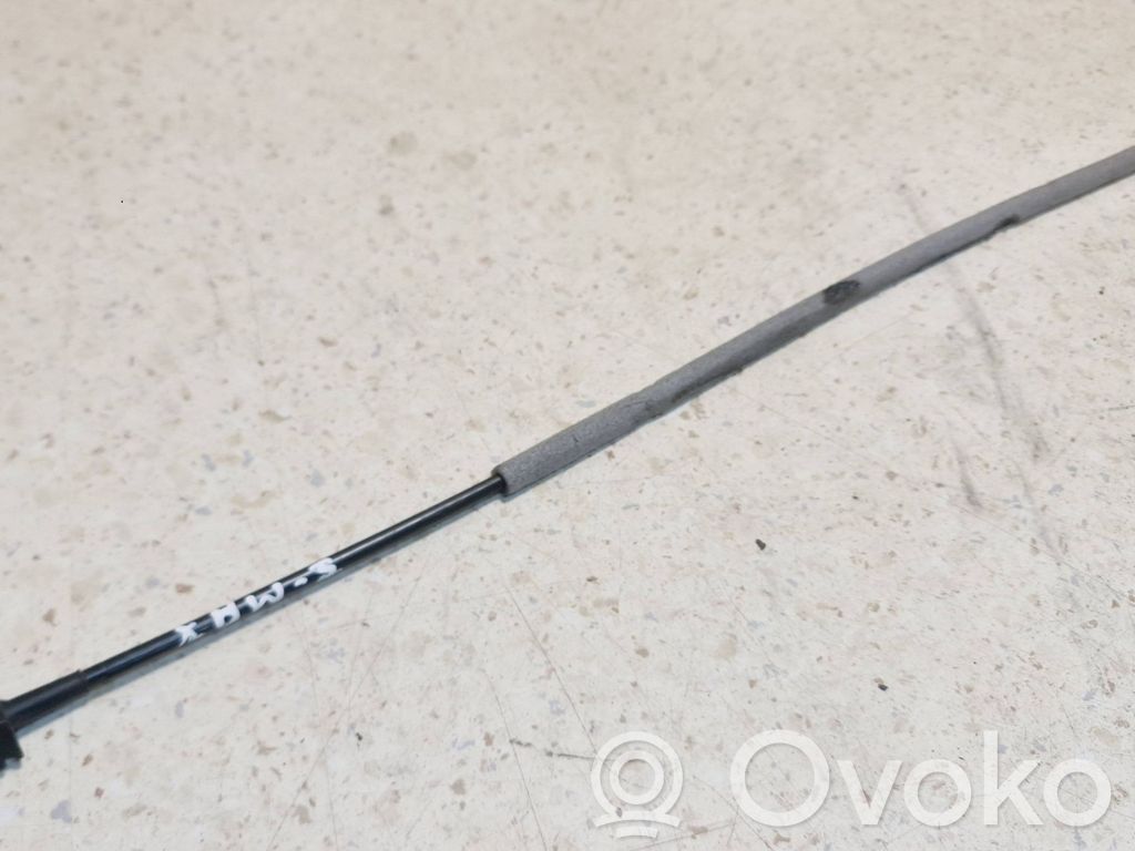 Trosīte   986418