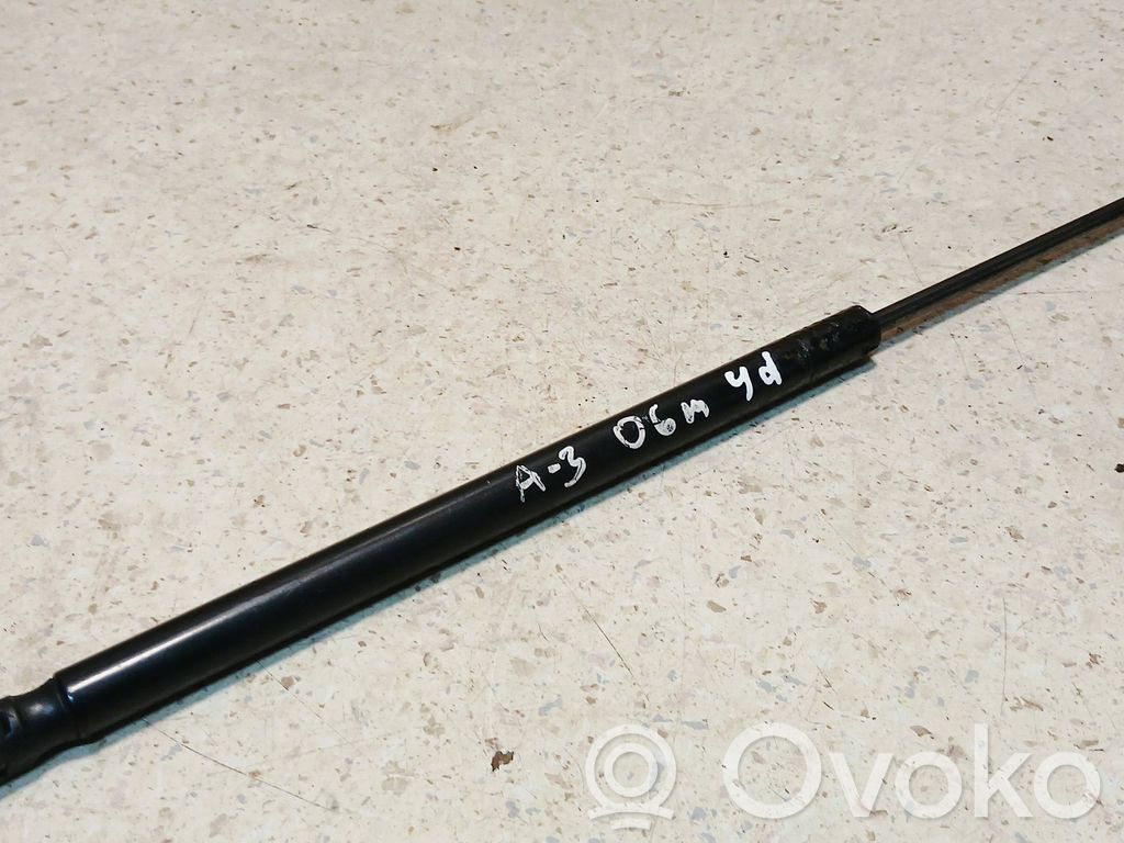Audi A3 S3 A3 Sportback 8P Tailgate/trunk strut/damper 