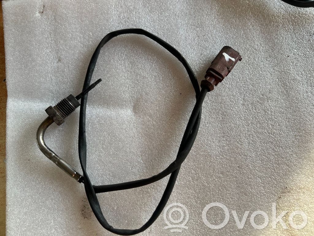 Volkswagen Tiguan Exhaust gas temperature sensor 