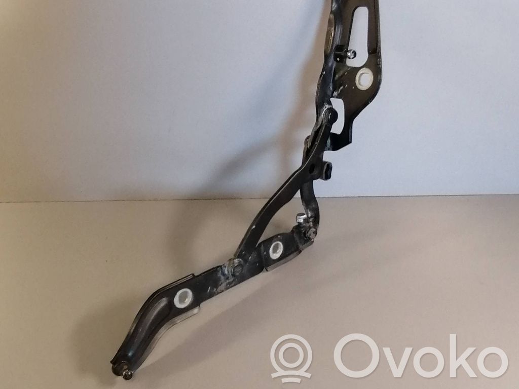 Tailgate/trunk/boot hinge   7060627