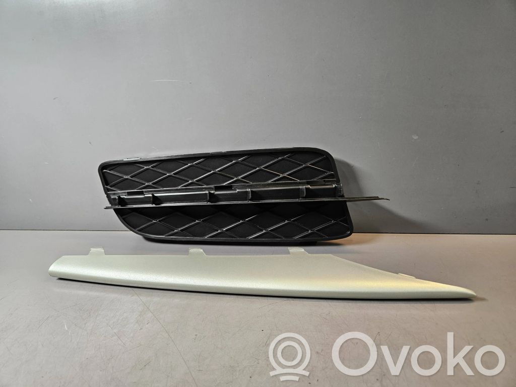 BMW X5 E70 Front bumper lower grill 