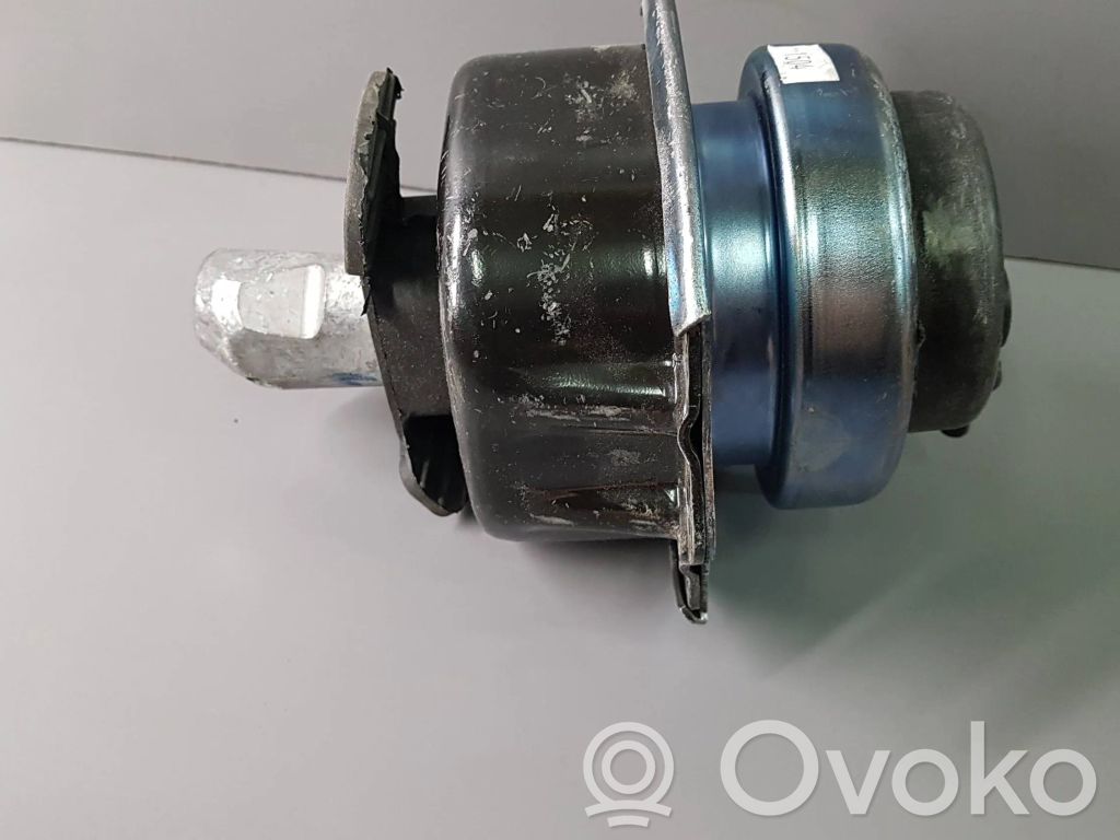 Dzinēja spilvens   6793016,22116793016