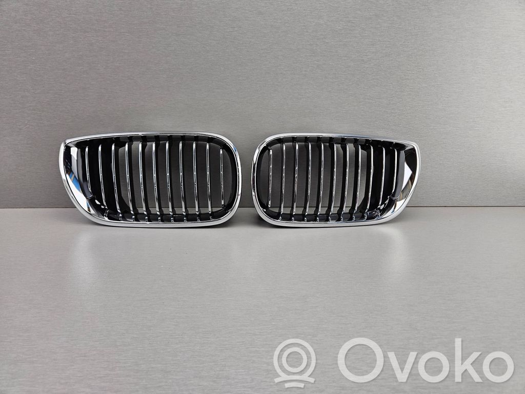 BMW 3 E46 Oberes Gitter vorne 